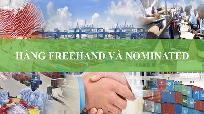 Phân biệt hàng Freehand Và Nominated trong xuất nhập khẩu