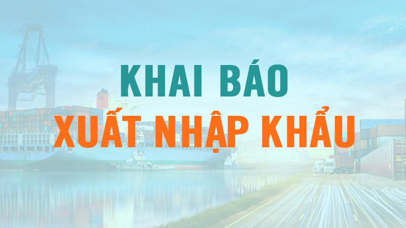 học khai báo xuất nhập khẩu online