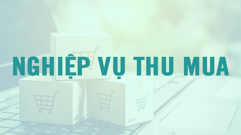 học nghiệp vụ thua mua online