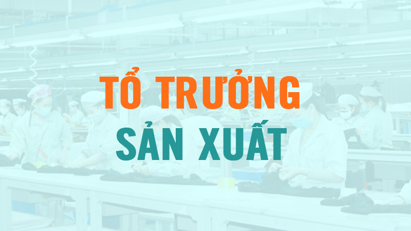 tổ trưởng sản xuất online
