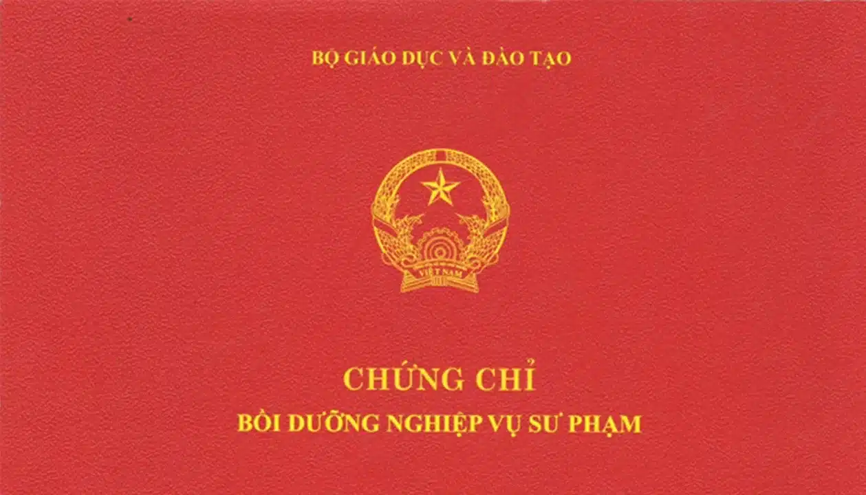 chung-chi-nghiep-vu-su-pham-2