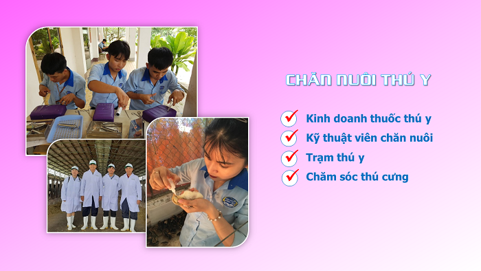Tuyển sinh trung cấp chính quy ngành CHĂN NUÔI - THÚ Y tại Bình Dương